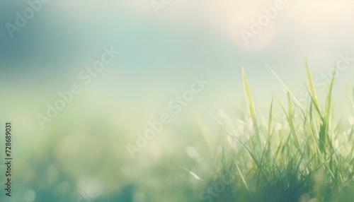 Leinwand Poster Pale springtime background with green meadow grass blades and copyspace