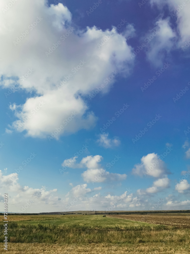Vertical Photograph of a Small Field Under a Sunny Sky, Summer, No People Vertical Photograph of a Small Field Under a Sunny Sky, Summer, No People