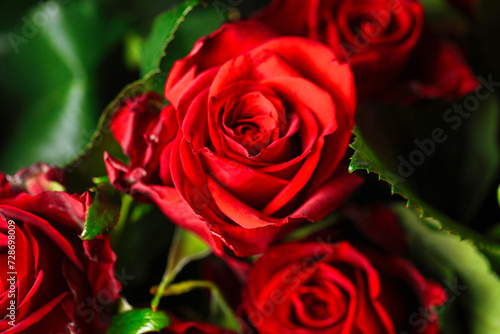 Bouquet of Red Roses With Green Leaves