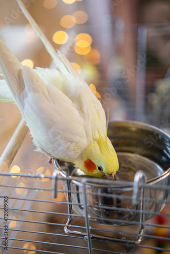 Fotografía Beautiful photo of a bird