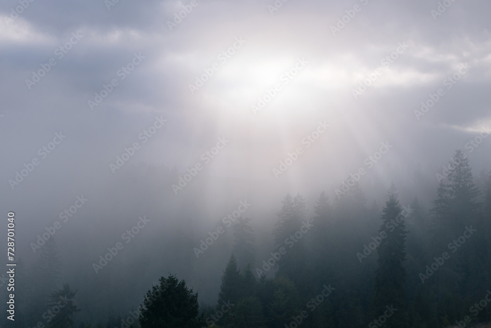 A light rays through the clouds over foggy spruce forest on a mountain hill in Carpathian mountains. Ukraine.
