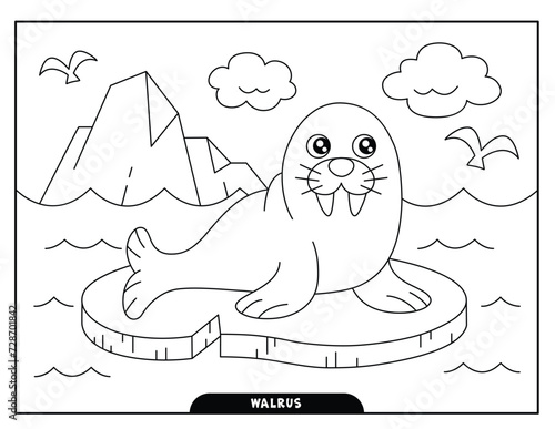 Walrus coloring pages for kids