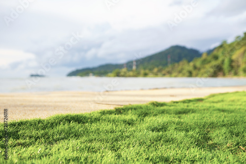 Fototapeta Naklejka Na Ścianę i Meble -  Grass on seaside 