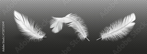 Light bird feathers group realistic vector illustration set. Flying animals plumage details. Fluffy quills 3d elements on transparent background
