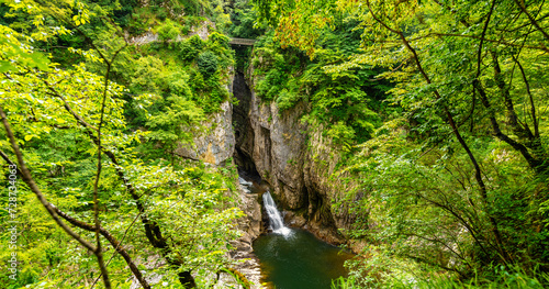 Panoramic view into the canyon of Skocjan caves in Slovenia. Waterfall emerging from big underground cave system splashing into a river basin. Lush vegetation of natural wonder and tourist attraction.