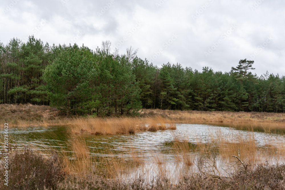 Tongerense Heide is a heathland near Epe in The Netherlands. Tongerense Heide is a heathland near Epe in The Netherlands.