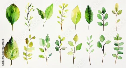 a bunch of green leaves on a white background