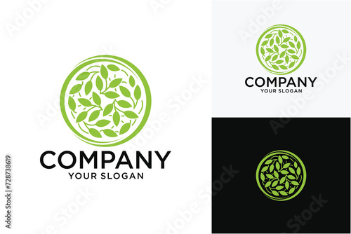 green logo design template - emblem for holistic medicine center olive branch logo design with 3 options