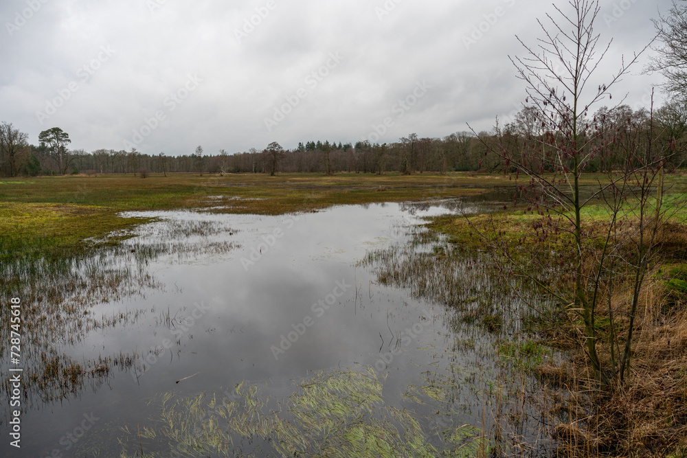View over Wisselse Veen near Epe in the Netherlands, a newly formed nature reserve called Landgoed Tongeren. View over Wisselse Veen near Epe in the Netherlands, a newly formed nature reserve called Landgoed Tongeren.