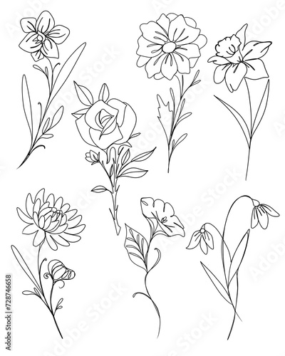line art drawing of flowers. minimalism sketch, idea for invitation, design o...