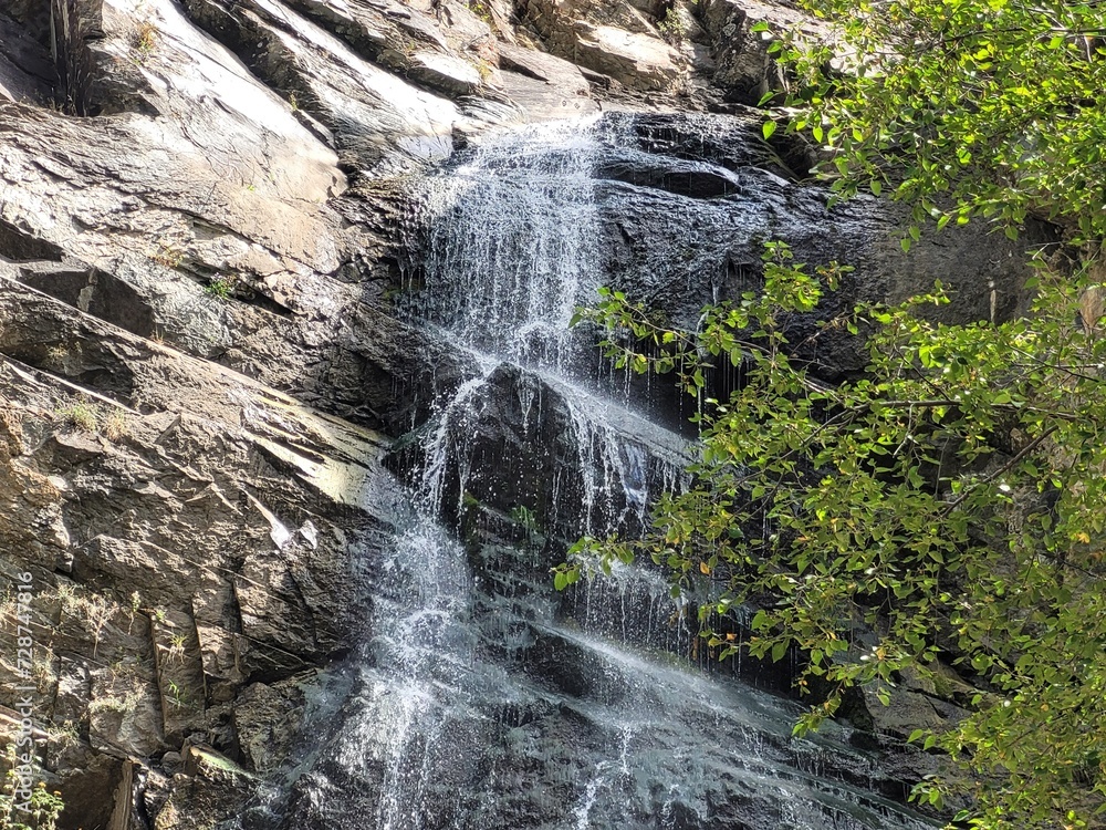 Fototapeta premium waterfall in the forest