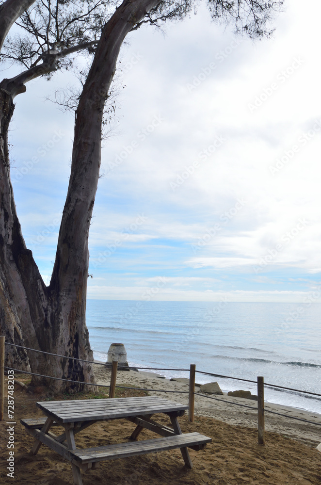 Fototapeta premium Table under tree in Marbella beach