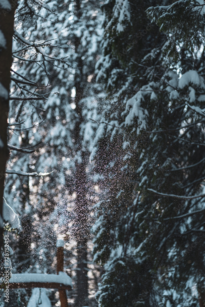Falling snowflakes of snowfall in sunbeam, winter wonderland in European forest Falling snowflakes of snowfall in sunbeam, winter wonderland in European forest