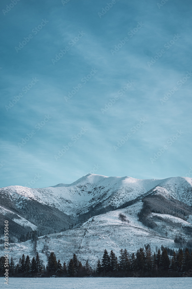 Winter mountain landscape at frozen day, snowy evergreen forest and field in Low Tatras, Slovakia