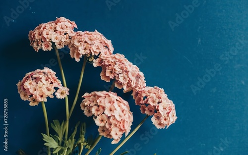Romantic flowers on blue background. minimal style