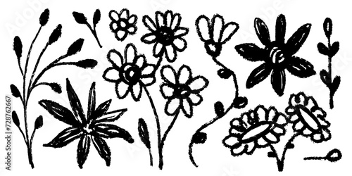 Set of flowers, leaves, floral stems. Primitive wild plants drawing with grunge brush. Black and white botanical elements. Vector illustration. Simple style plants