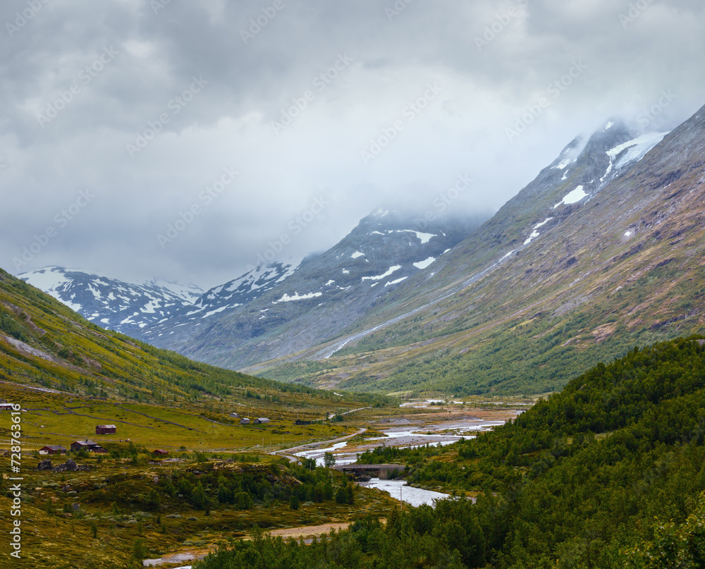 Summer mountain (Norway)