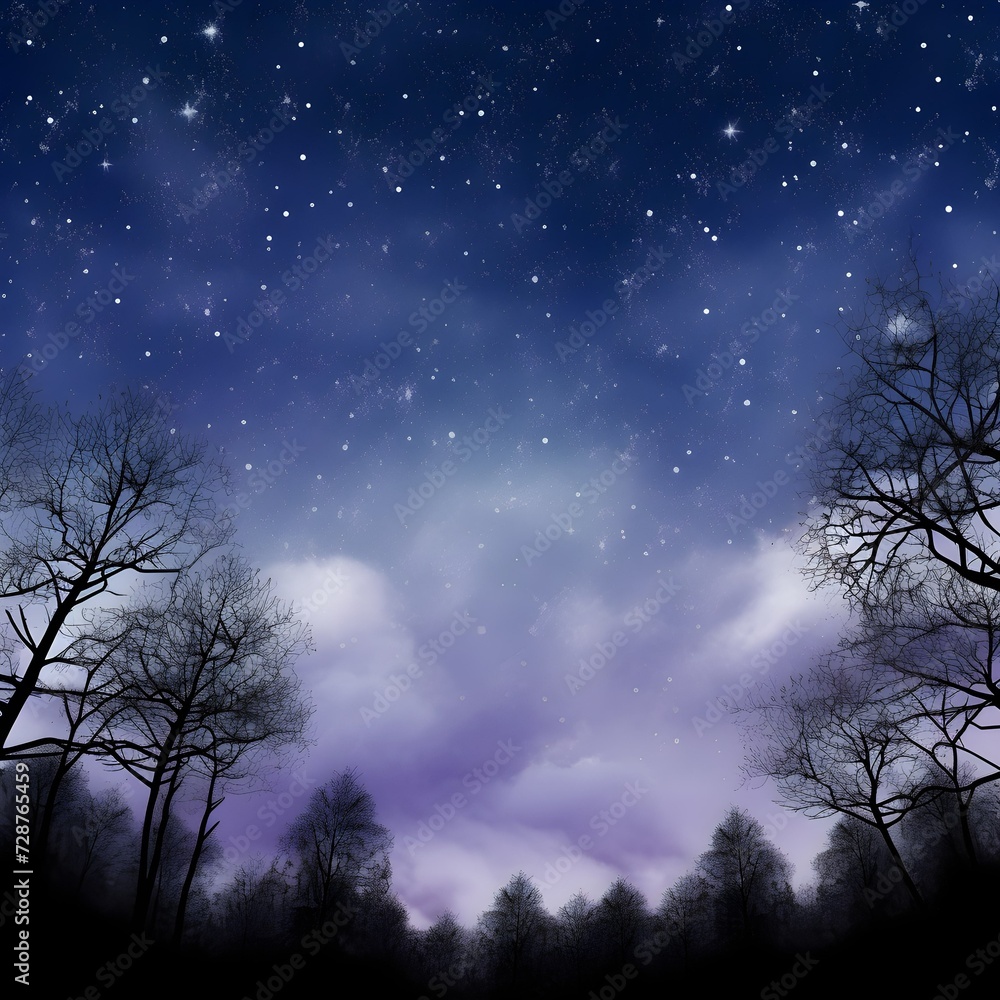 Fototapeta premium Night sky with stars