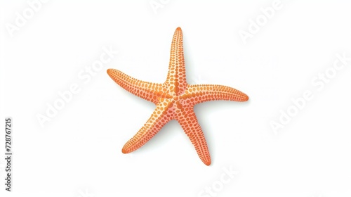 Starfish on white background.