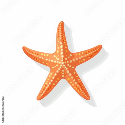 Starfish on white background.