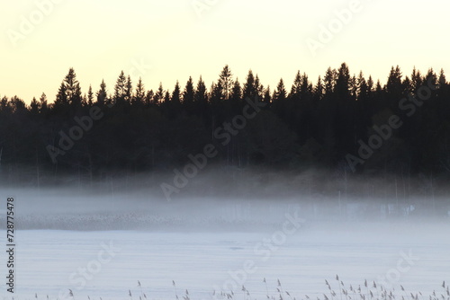 Fototapeta Naklejka Na Ścianę i Meble -  The lake in fog on a winter day with blue sky. Forest and grass in cold frozen water.