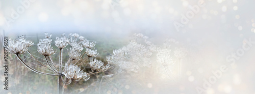Cold autumn winter backgrou...