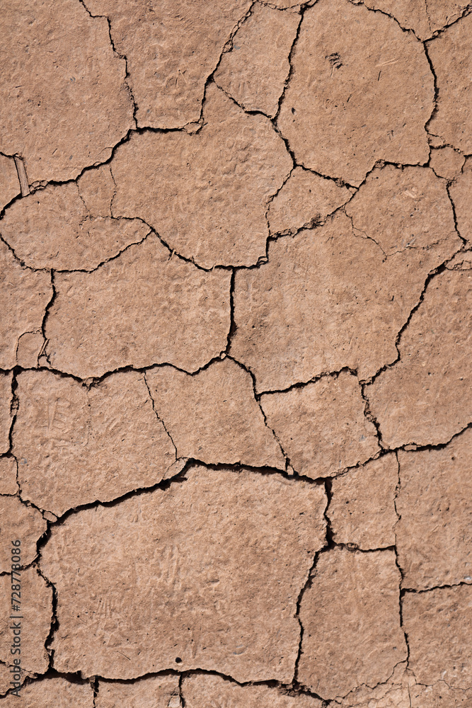 Cracked Dirt Texture Cracked Dirt Texture