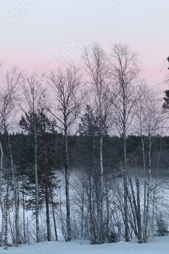 The lake in fog on a winter day with blue sky. Forest and grass in cold frozen water.