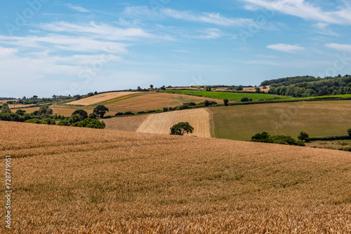 A view over an Isle of Wight farm landscape, with a blue sky overhead