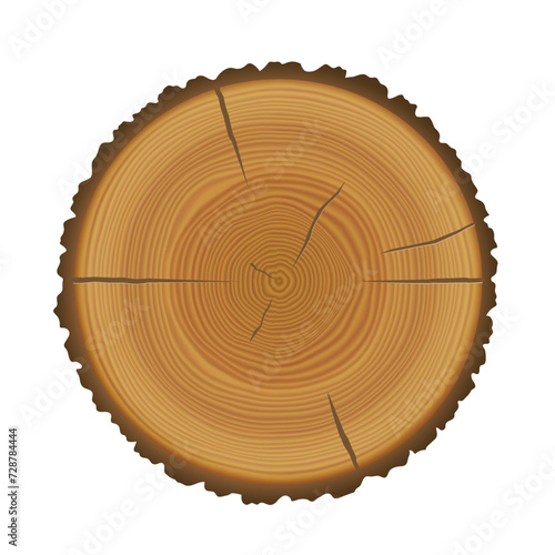 Wood trunk cut with tree rings texture. Wooden stump or circle log slice with annual rings. Round brown pine cut isolated on white background, vector cartoon illustration