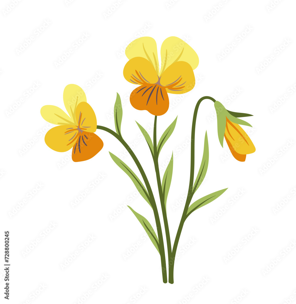 Spring flowers concept. Bloom and blossom yellow plants. Wild life and flora, botany. Aesthetics and elegance. Poster or banner. Cartoon flat vector illustration isolated on white background