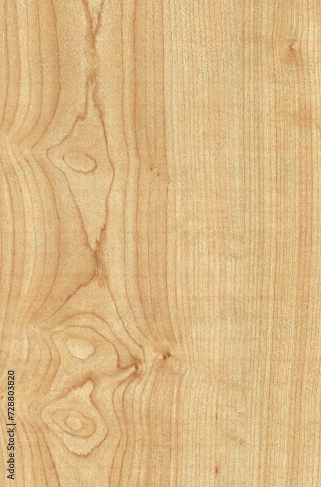 wood texture background
