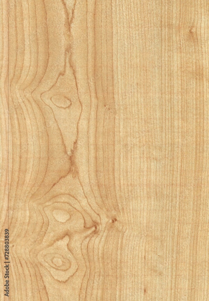 wood texture background