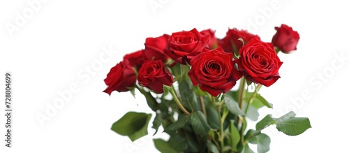 Beautiful fresh red rose flowers with leaves isolated on white background. AI generated image