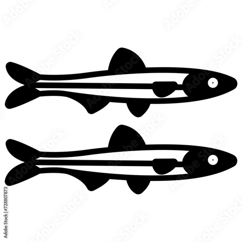 Anchovy glyph and line vector illustration
