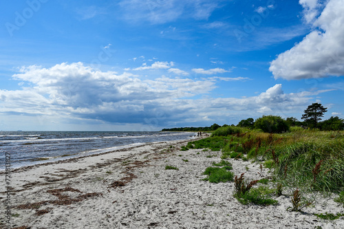 Vacation in Sweden - Vacation on the sandy beach Mossbystrand beach with a view of the Baltic Sea, in summer with a blue sky, Skivarp, Öresund, Skane Lan, Sweden