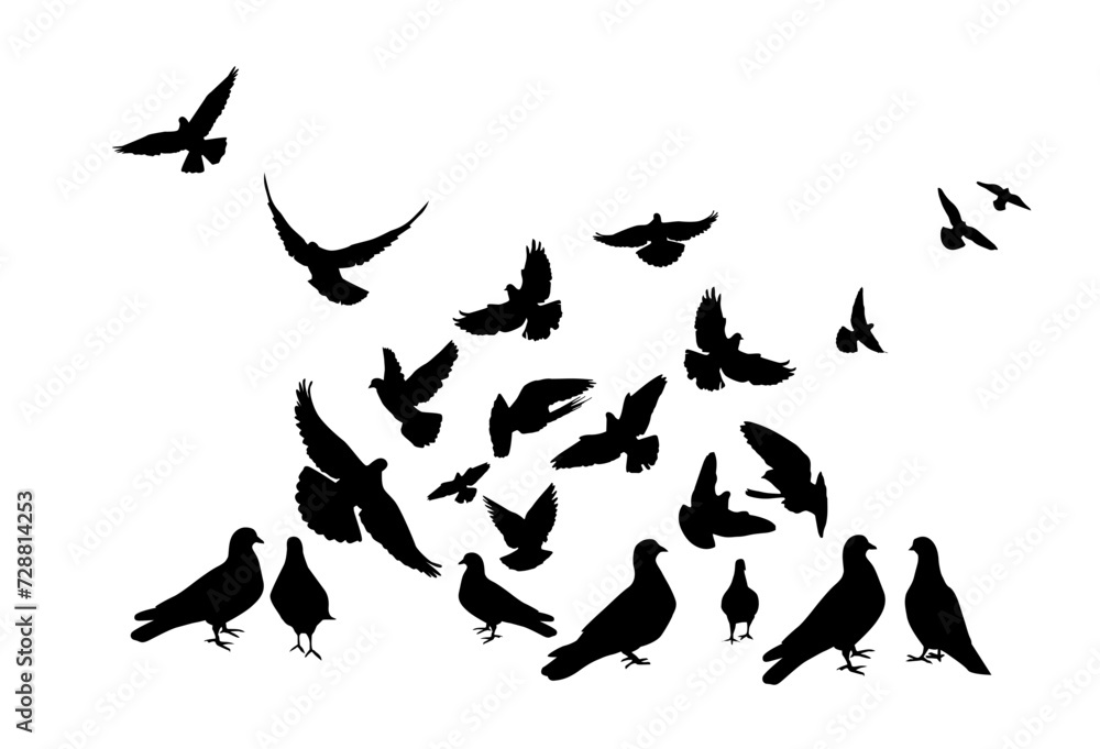 Flocks of flying pigeons isolated on white background. Pigeons are standing on the ground. hand drawing. Not AI, Vector illustration Flocks of flying pigeons isolated on white background. Pigeons are standing on the ground. hand drawing. Not AI, Vector illustration