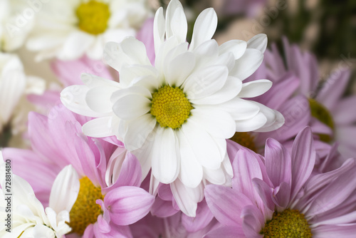 white and pink flowers