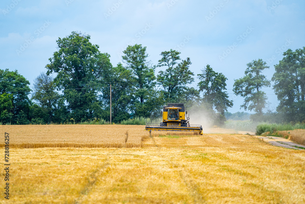 Obraz premium Yellow combine harvester working on wheat field