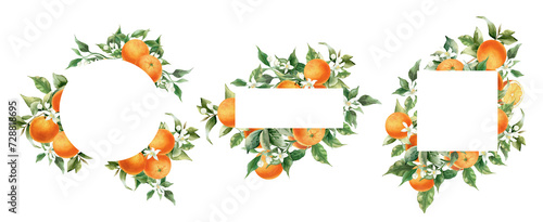Orange fruit border frame set. Watercolor illustration isolated on transparent background. Blossom orange branch for labels, prints, banners, citrus wedding invitation © Nataliya Kunitsyna