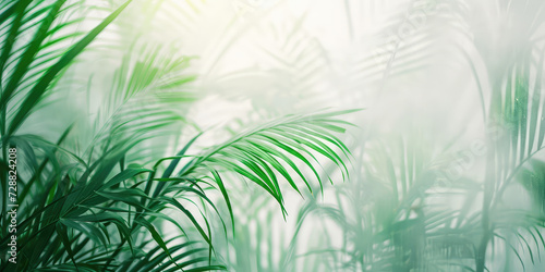 Tropical Palm Leaves Behind Frosted Glass. Green palm leaves create a serene, diffused pattern through the frosted glass, evoking a sense of calm and tranquility. Wallpaper background, copy space. photo