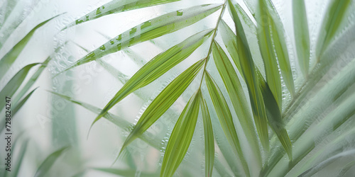 Tropical Palm Leaves Behind Frosted Glass. Green palm leaves create a serene  diffused pattern through the frosted glass  evoking a sense of calm and tranquility. Wallpaper background  copy space.