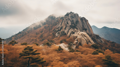  landscape photo of mountain. Dreary weather. Earth tone color palette