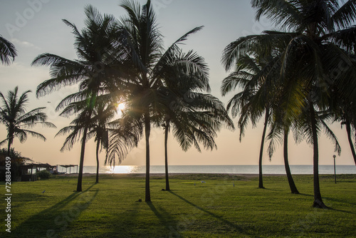 Palmen am Strand vor Sonnenuntergang