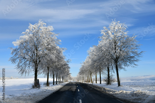 Landstraße im Winter mit bereiften Bäumen