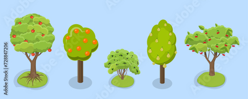 3D Isometric Flat Vector Set of Fruit Tree, Garden Plants Cultivation