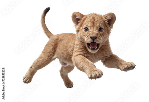 funny cute lion kitten in full body jumping through the picture isolated against transparent background