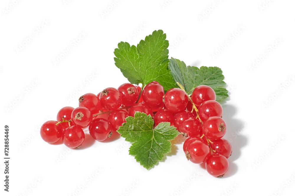 Red currant berries with leaf isolated on white background. Red currant berries with leaf isolated on white background.