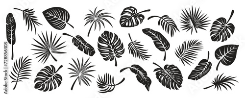 Tropical Leaf Silhouettes. Flat Vector Black and White Cutout Style Monstera, Ficus, Banana Leaf, Dracaena, Sabal Palm Leaves Collecton, Isolated. Design Templates for Home Decor, Invitations, Prints