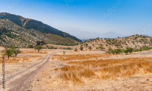 Desertical road or path in the mountains, with dry trees, bushes, yellow grass. Trekking and hiking adventures.  photo